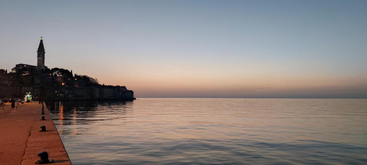 Davor Holiday Apartments Rovinj Eksteriør billede